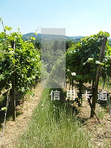 信用卡逾期 51信用卡 信用卡逾期 51信用卡